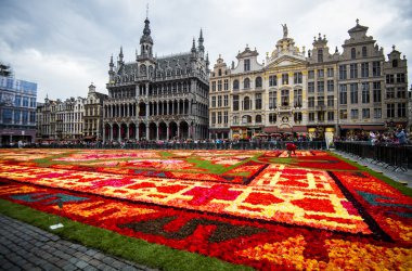 600.000 Begonien: Blumenteppich auf der Grand'Place in Brüssel