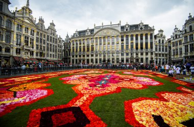 600.000 Begonien: Blumenteppich auf der Grand'Place in Brüssel