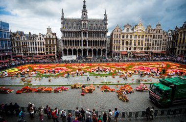 600.000 Begonien: Blumenteppich auf der Grand'Place in Brüssel
