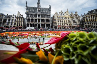 600.000 Begonien: Blumenteppich auf der Grand'Place in Brüssel