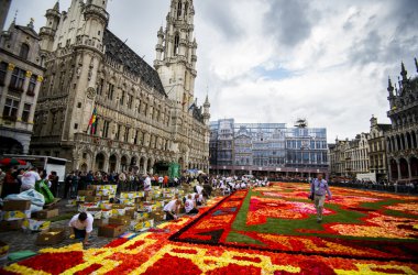 600.000 Begonien: Blumenteppich auf der Grand'Place in Brüssel