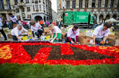 600.000 Begonien: Blumenteppich auf der Grand'Place in Brüssel