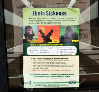 Poster mit Informationen zu Ebola auf der Eingangstüre des Gesundheitsministeriums in Abuja, Nigeria
