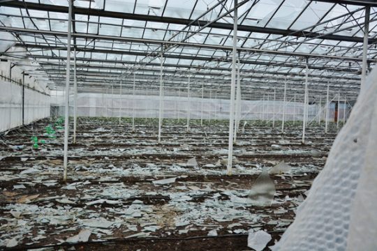 Im Juni verursachte Hagel schwere Schäden in Belgien (Bild: Wingene)