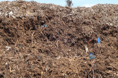 Renogen in der Industriezone Kaiserbaracke verbrennt Holzabfälle - allerdings ist auch Plastikmüll beigemischt
