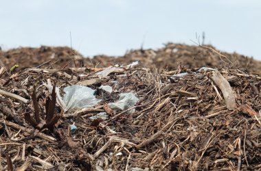Renogen in der Industriezone Kaiserbaracke verbrennt Holzabfälle - allerdings ist auch Plastikmüll beigemischt