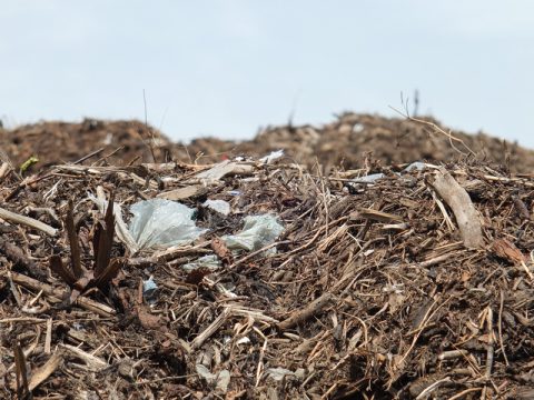 Renogen in der Industriezone Kaiserbaracke verbrennt Holzabfälle - allerdings ist auch Plastikmüll beigemischt