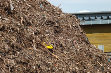 Renogen in der Industriezone Kaiserbaracke verbrennt Holzabfälle - allerdings ist auch Plastikmüll beigemischt