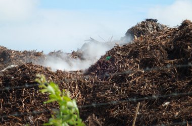 Renogen in der Industriezone Kaiserbaracke verbrennt Holzabfälle - allerdings ist auch Plastikmüll beigemischt