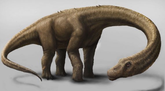 Der Dinosaurier "Dreadnoughtus schrani" war bis vor kurzem der größte Dinosaurier weltweit