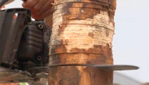 Holzfällermeisterschaft in Malmedy