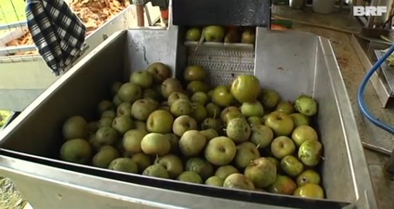 Mobile Saftpresse der Vereinigung "Die Raupe"