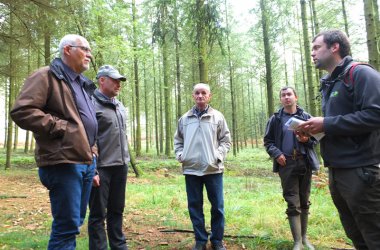 Forstwirtschaft im Kleinen: Wie sich Privatwald besser nutzen lässt, das zeigt die "Cellule d'appui à la petite forêt privée" bei einer Waldbegehung in der Altgemeinde Thommen