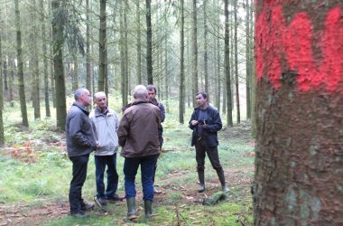 Forstwirtschaft im Kleinen: Wie sich Privatwald besser nutzen lässt, das zeigt die "Cellule d'appui à la petite forêt privée" bei einer Waldbegehung in der Altgemeinde Thommen