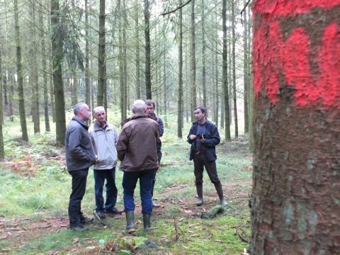 Forstwirtschaft im Kleinen: Wie sich Privatwald besser nutzen lässt, das zeigt die "Cellule d'appui à la petite forêt privée" bei einer Waldbegehung in der Altgemeinde Thommen