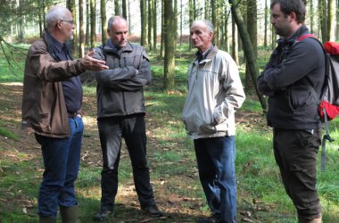 Forstwirtschaft im Kleinen: Wie sich Privatwald besser nutzen lässt, das zeigt die "Cellule d'appui à la petite forêt privée" bei einer Waldbegehung in der Altgemeinde Thommen