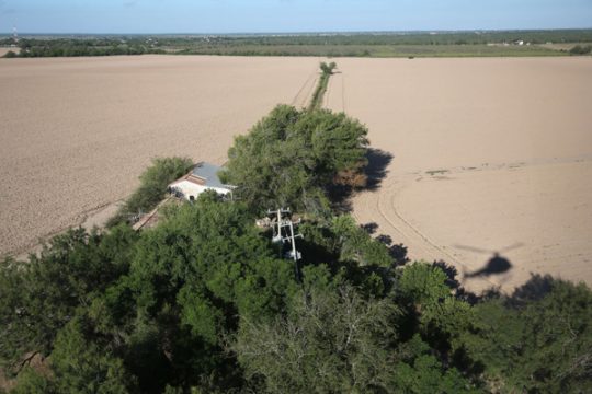 Koka-Plantage in Tuxtla Chico