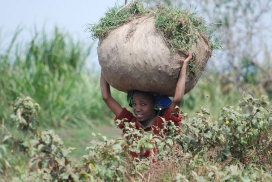 Miteinander Teilen zeigt Fotos aus Burundi und Ruanda