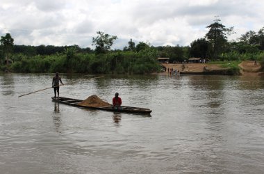 Ravel du Bout du Monde in Kamerun - Sandfischer am Mungo