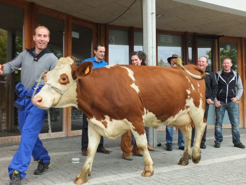 TheaterFest: Agora und MIG machen gemeinsame Sache