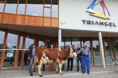 TheaterFest: Agora und MIG machen gemeinsame Sache