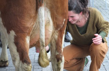 TheaterFest: Agora und MIG machen gemeinsame Sache