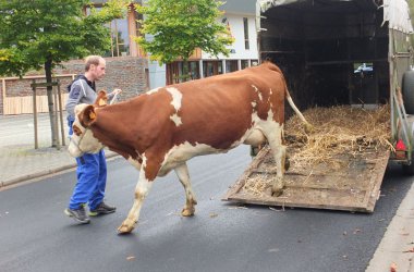 TheaterFest: Agora und MIG machen gemeinsame Sache