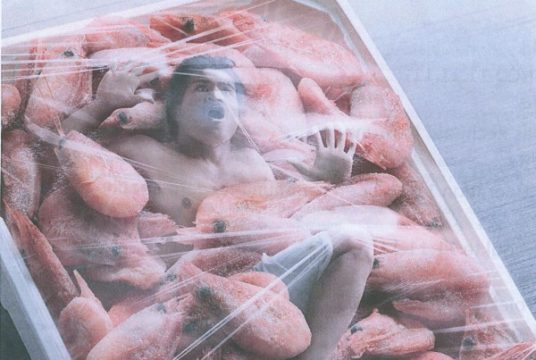 Ein Asiate unter Frischhaltefolie, verpackt mit Garnelen - neue Aktion der Spendenkampagne 11.11.11