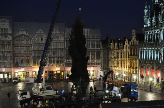 Weihnachtsbaum aus Riga für die Brüsseler Grand’Place