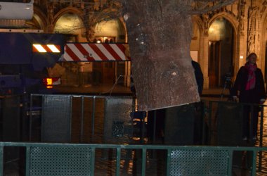 Weihnachtsbaum aus Riga für die Brüsseler Grand’Place