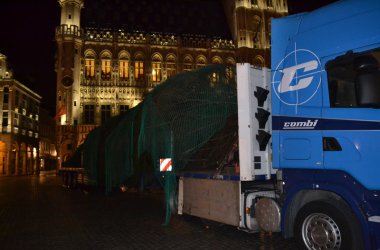 Weihnachtsbaum aus Riga für die Brüsseler Grand’Place