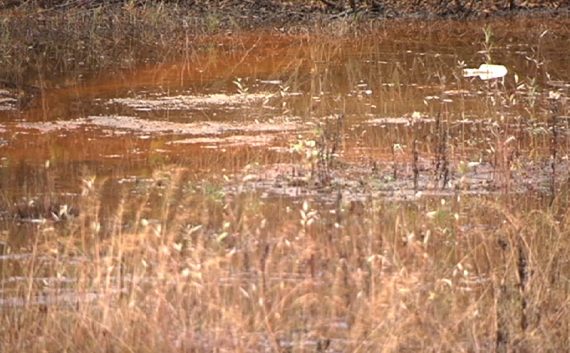 Nach BRF-Informationen werden Klärschlammrückstände nahe der Eupener Talsperre in die Weser geleitet