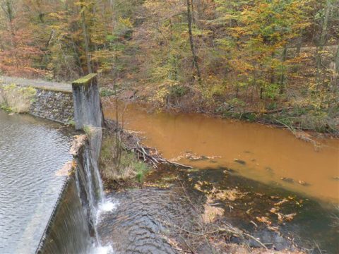 SWDE: Verunreinigung kommt nicht aus den Klärbecken der Trinkwasseraufbereitungsanlage