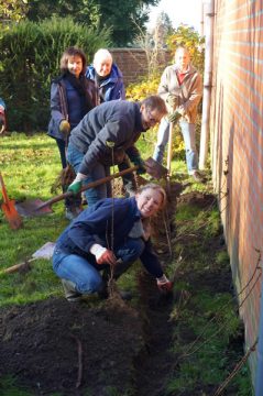 Ecolo Eupen pflanzte hundert Beerensträucher