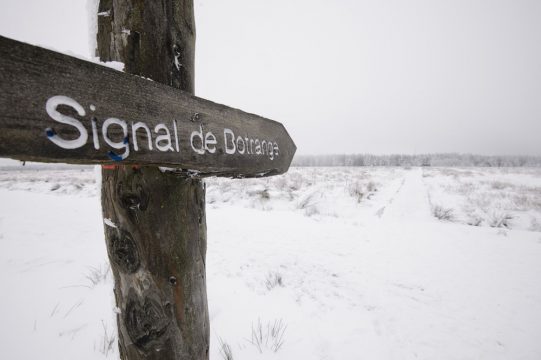 Wintersportfreunde freuen sich: Schnee auf dem Hohen Venn