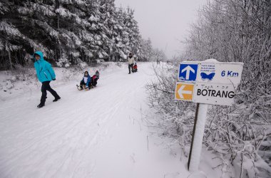Wintersportfreunde freuen sich: Schnee auf dem Hohen Venn