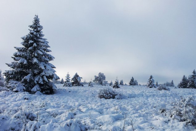 Hohes Venn im Schnee
