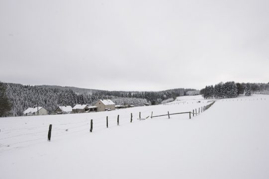 Wintersportfreunde freuen sich: Schnee auf dem Hohen Venn (Archivbild: Nicolas Lambnert/Belga)