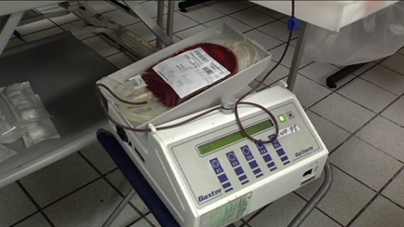 Nachgefragt: Wie begehrt ist ihre Blutgruppe?