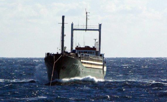 Das Geisterschiff "Ezadeen"