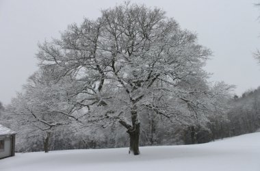 Wintereinbruch in Eupen