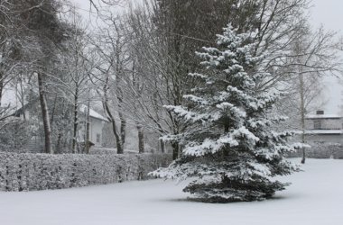 Wintereinbruch in Eupen