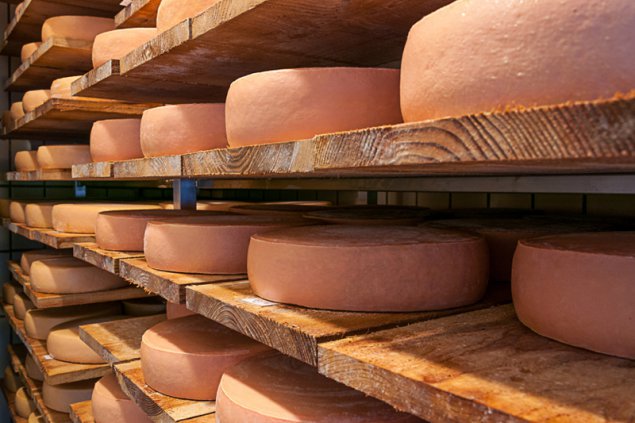 Biokäse von "Le Valet" in Weismes