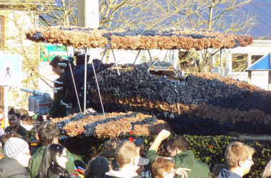 Karnevalszug in Deidenberg