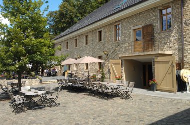 Entspannen in der Weinhochburg Rheinhessen