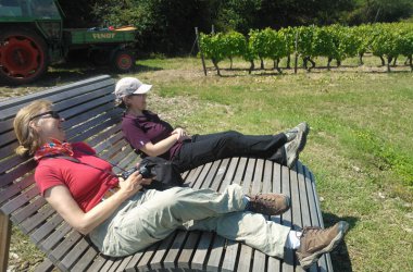 Entspannen in der Weinhochburg Rheinhessen