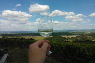 Entspannen in der Weinhochburg Rheinhessen