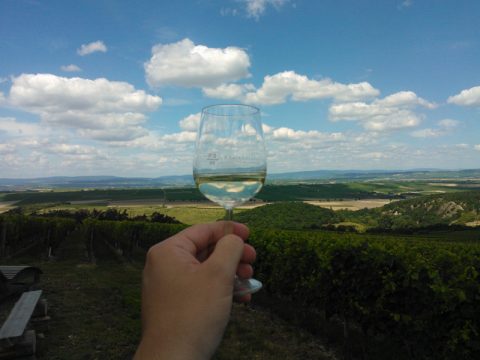 Entspannen in der Weinhochburg Rheinhessen