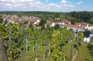 Entspannen in der Weinhochburg Rheinhessen