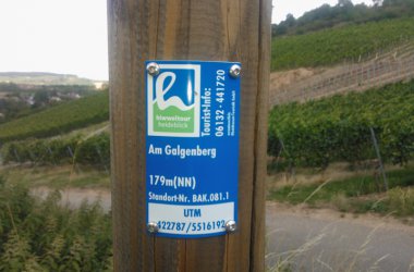 Entspannen in der Weinhochburg Rheinhessen